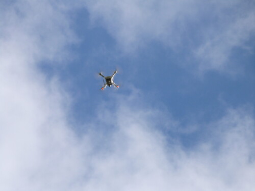 Image acquisition by drone in the field