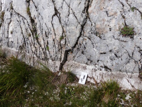 A fault plane excised by the 2016 earthquake. 
Un plan de faille excisé par le séisme de 2016.